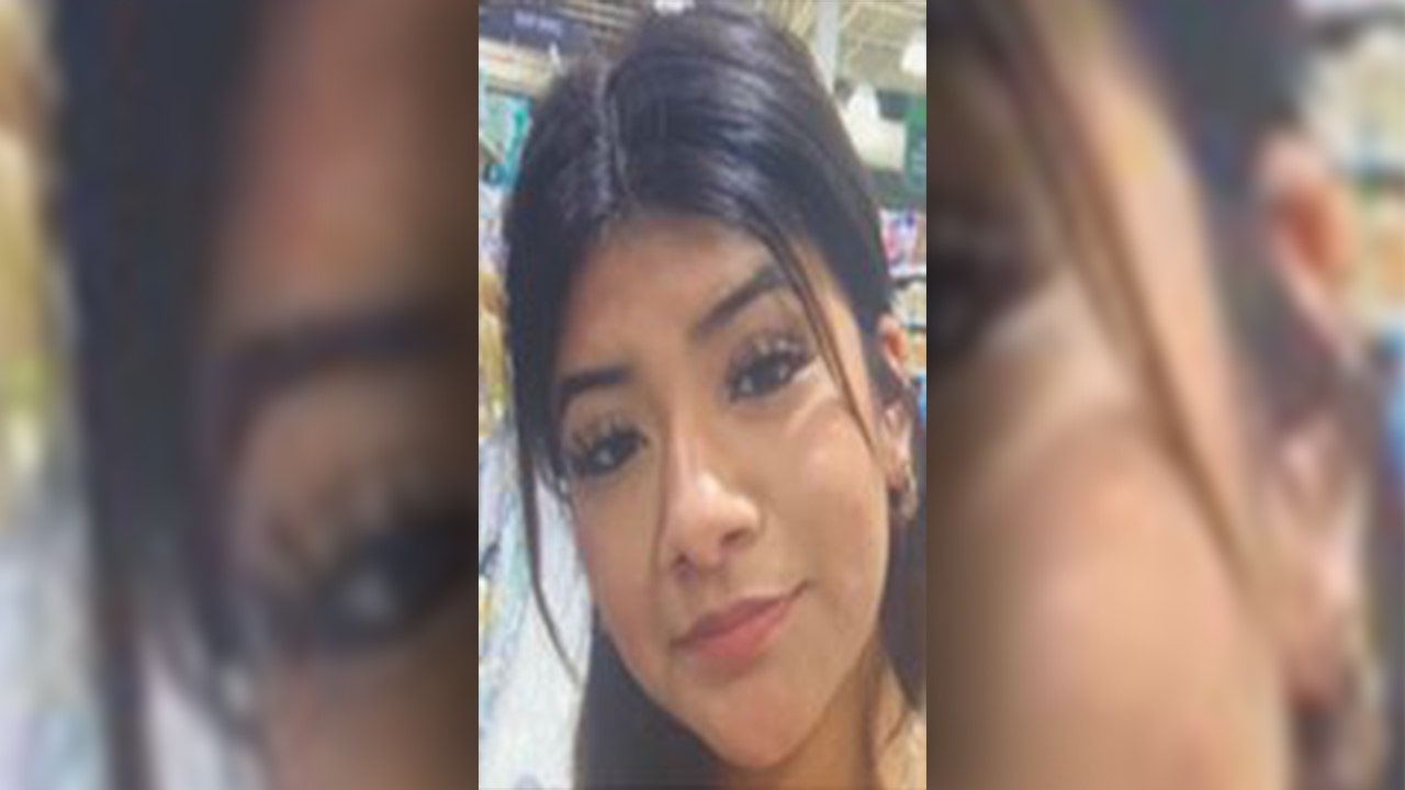 Missing Child Alert issued for teen last seen in Plant City: FDLE - Vimarsana News