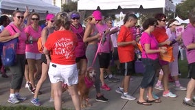 How to build a team for Making Strides Against Breast Cancer campaign walks