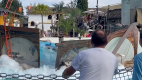 Watch: Pool cracks, collapses at Germany’s biggest theme park leaving 7 hurt
