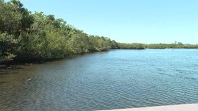 Manatee County Commissioners move a step closer to ending wetland protections to the dismay of many residents