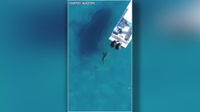 Florida fishing boat seen 'shaking like an earthquake' as underwater predator pounces