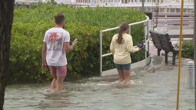 Hurricane Idalia: Pinellas County streets flood, but ‘the bar is open’