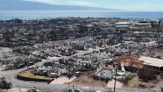 Tampa woman says 'Aloha spirit' is still alive in Maui after wildfires burned most of the island