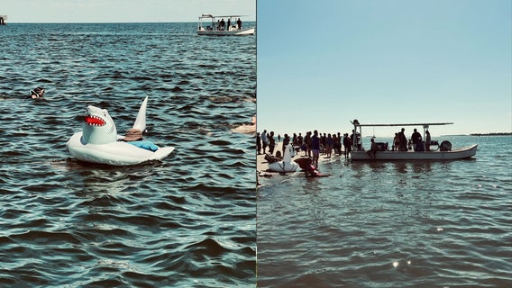 Cedar Key Shark Swim raises money for Florida’s smallest public school
