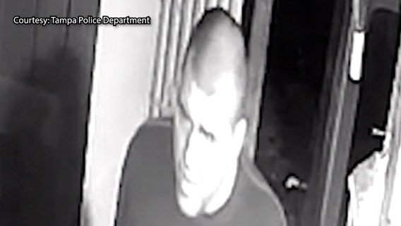 Suspect stole almost $11k worth of meats and ingredients from Tampa restaurant, police say