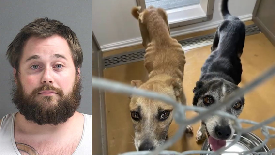 Central Florida man arrested for malnourished dogs said he hasn't bought dog food in 5 weeks: deputies