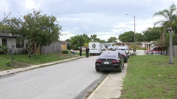 Death investigation underway in Pasco County, neighbors say child involved
