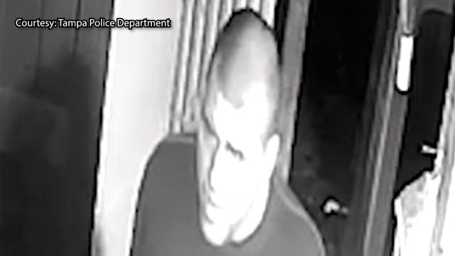 Suspect stole almost $11k worth of meats and ingredients from Tampa restaurant, police say