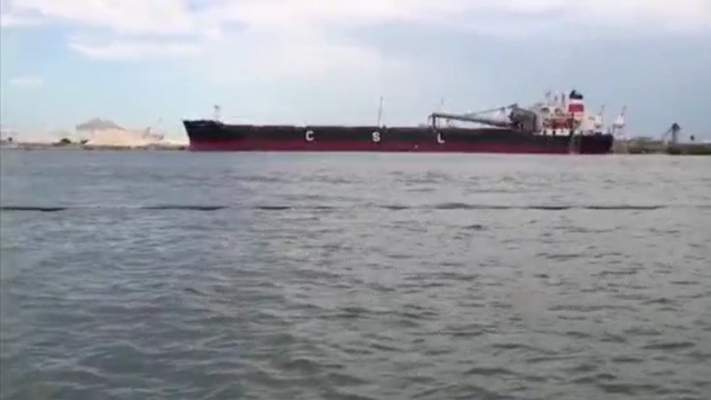 Scientists taking deeper dive to combat threats of algae across local waterways