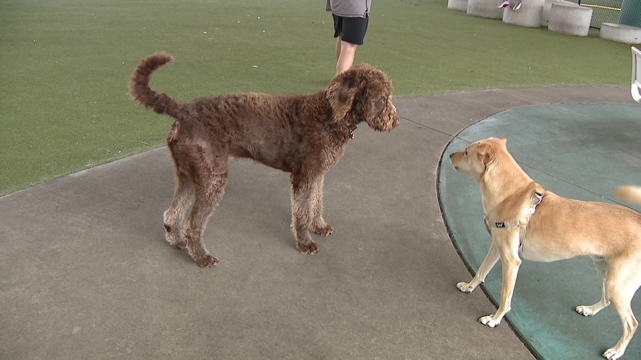 Publix reminds shoppers that pets are not allowed in their stores