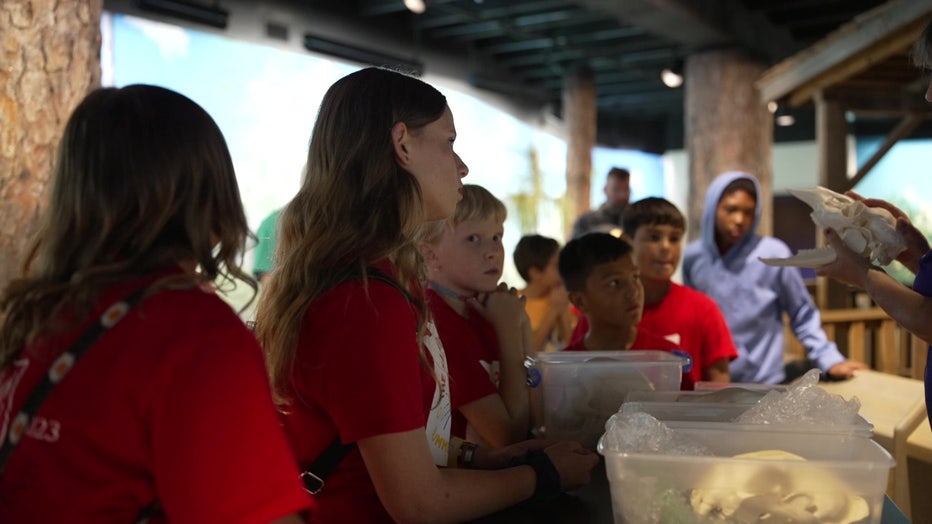 Young explorers are immersed in the world of natural history at Bishop Museum.