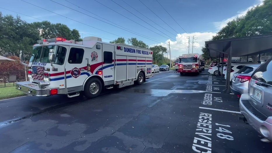 Crews with Clearwater Fire & Rescue as well as firefighters with Safety Harbor, Palm Harbor and Dunedin responded to the scene.