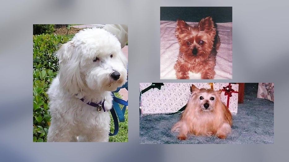 Green's pets now have a place to be honored.