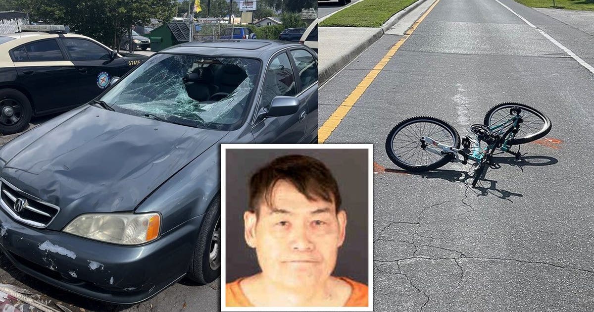 Sarasota County man sentenced to 15 years in prison for hit-and-run ...