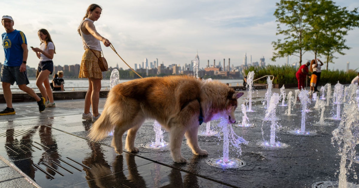 This summer was a global record breaker for highest heat ever ...