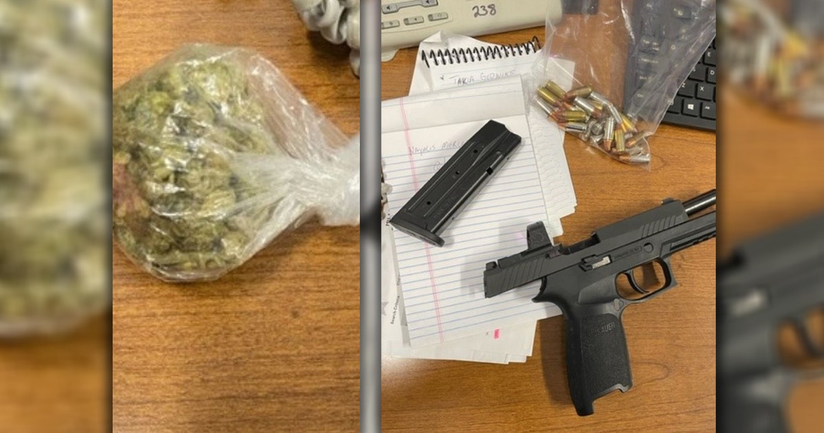 Spoto High student arrested for bringing gun on campus caught with ...