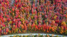 Autumnal equinox 2023: Fall officially begins this weekend