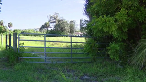 Sarasota commissioners discuss future of former golf course property in Gulf Gate Estates