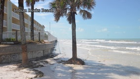 USF researchers say Pinellas County beaches severely eroded following Hurricane Idalia