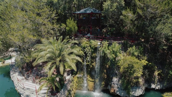 Enchanting garden in Levy County is hidden gem for nature enthusiasts
