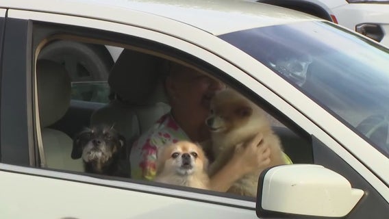 500 Bay Area families to receive free food on Pet Hunger Awareness Day