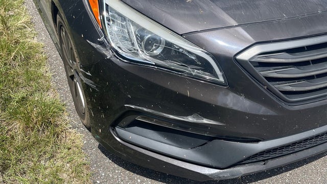 Tampa woman charged with DUI in Pasco County, troopers say