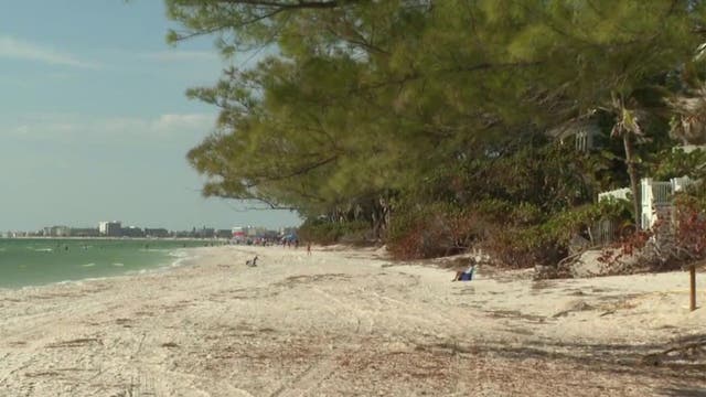 Treasure Island commences emergency beach dune restoration following Idalia effects