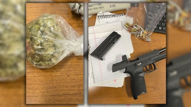 Spoto High student arrested for bringing gun on campus caught with marijuana in bathroom: HCSO