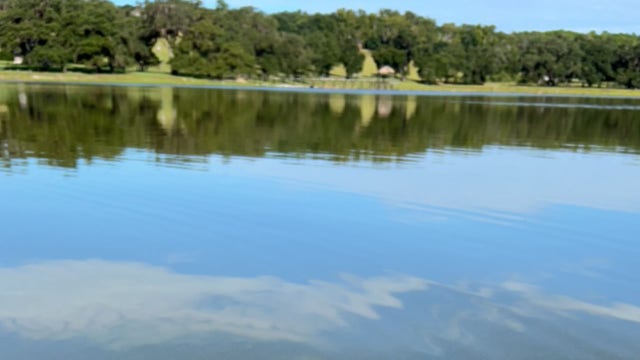 Pasco County officials say harmful blue-green algal toxins in Blanton Lake