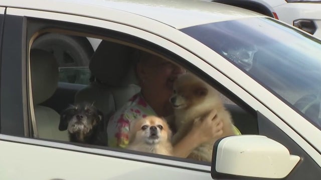 500 Bay Area families to receive free food on Pet Hunger Awareness Day
