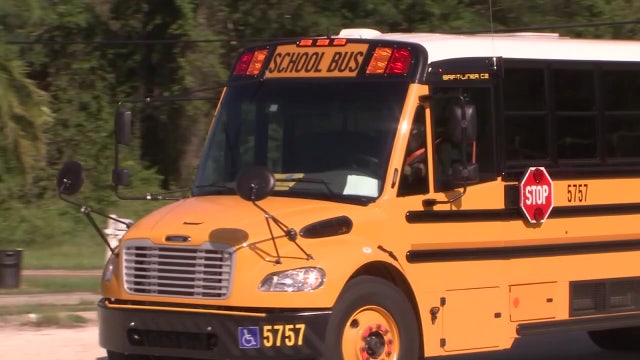 Hillsborough County seeks to hire 200 school bus drivers at Thursday job fair
