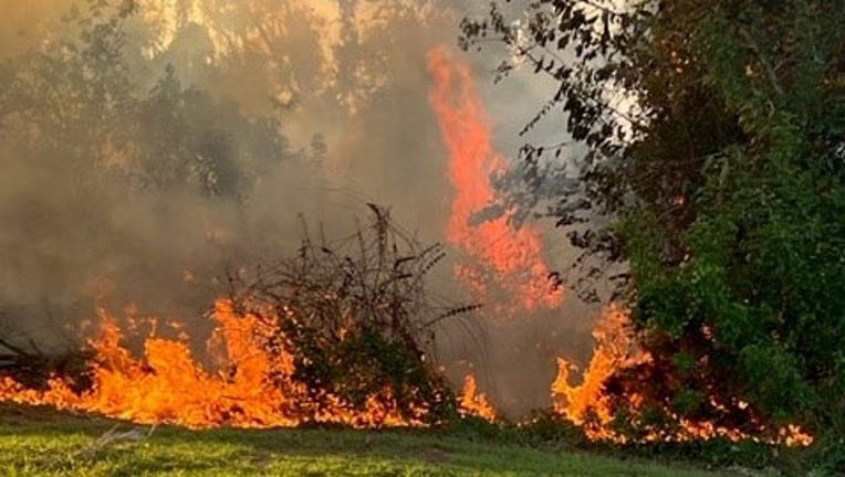 Sarasota County officials are investigating the calls of the brush fires.