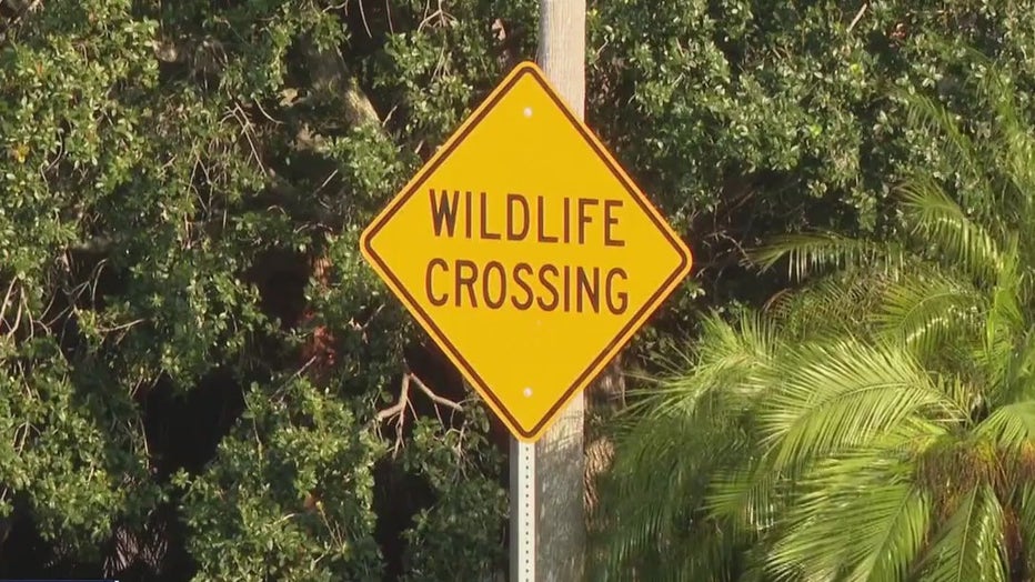 Warning sign of wildlife crossing
