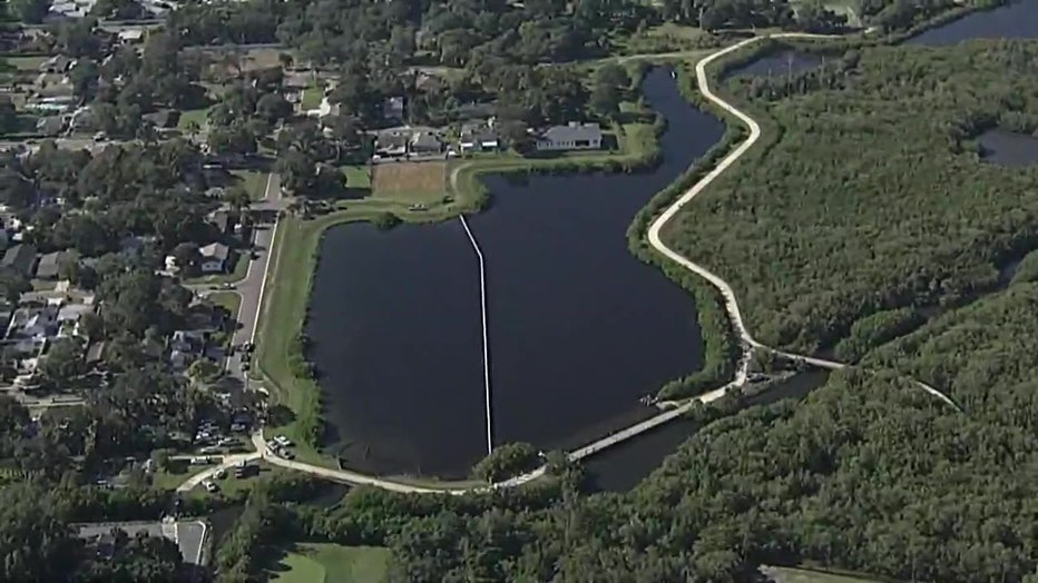 FWC called off the search for the manatees.