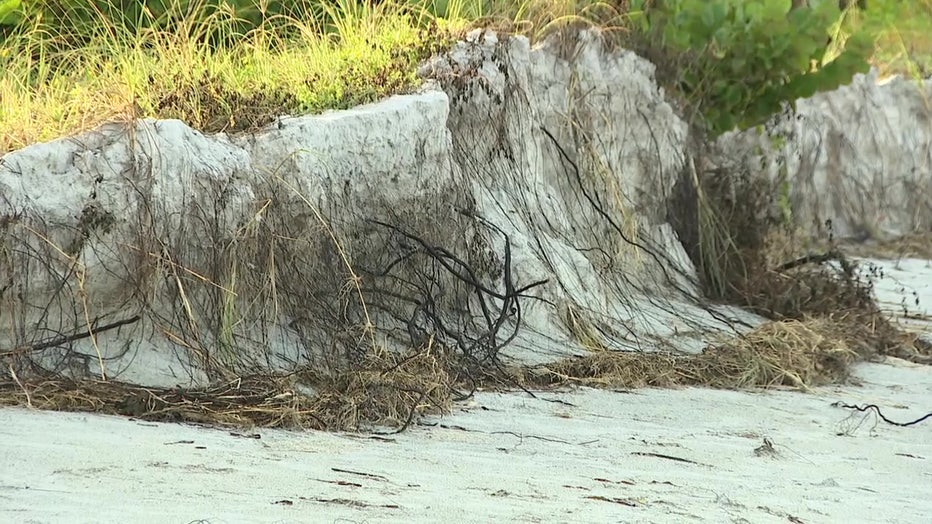 Experts say this is the worst erosion they've seen on Pinellas beaches.