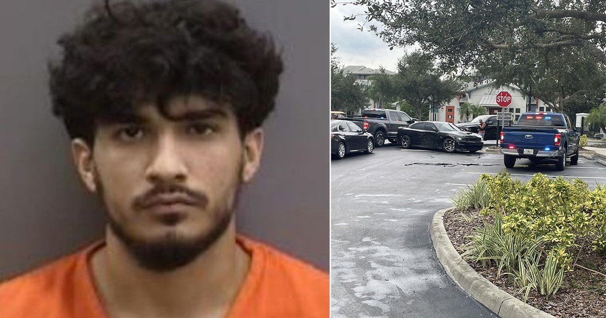 Suspect arrested in string of high-end car thefts after crashing into ...