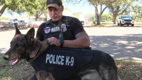 Nonprofit donates bullet and stab protective vests to SPPD K9s