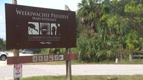 New development could jeopardize wildlife and tranquility in Hernando County, residents say