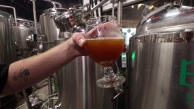 Veteran-owned Bullfrog Creek Brewing brings craft beer to Valrico