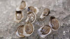 Oysters distributed to 10 states recalled over salmonella, E. coli concerns