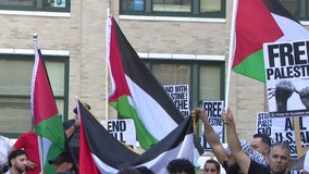 Pro-Palestinian rally draws in more than 100 protesters to Tampa's City Hall