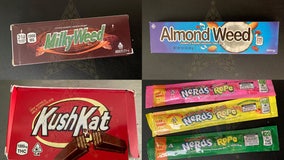 Spring Hill man arrested after deputies find candies laced with drugs in home: HCSO