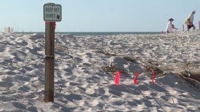 Sunset Beach reopens after crews restore dunes that took brunt of Hurricane Idalia