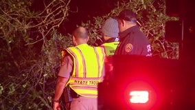 Citrus Springs woman killed in vehicle crash, troopers say