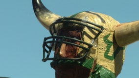 'Tradition not superstition': Woody Bull statue is the talk of USF tailgates