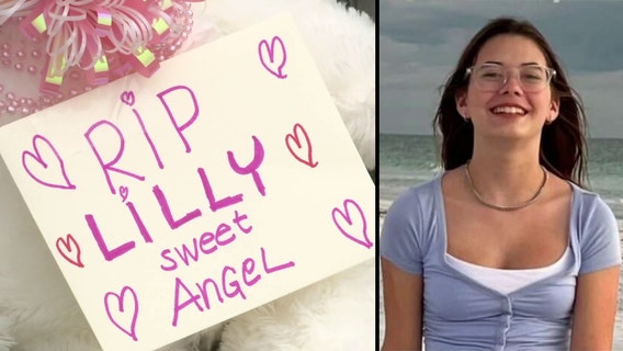 Sarasota County teen killed in crash inspires new bill aimed at catching Florida hit-and-run drivers