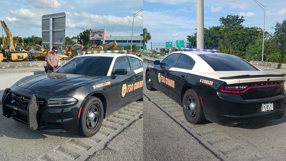 Florida woman arrested for FHP-inspired car makeover, troopers say: 'Fell in love with the color scheme'