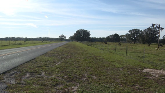 Brazilian food manufacturer invests $200M to build warehouse on Pasco County site