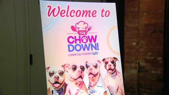 Former Tampa Bay Buccaneer hosts charity event benefiting local animal shelters and adoption causes