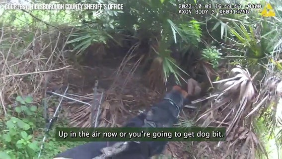 Hillsborough County K9 Unit tracks down fleeing suspect with felony warrants: HCSO